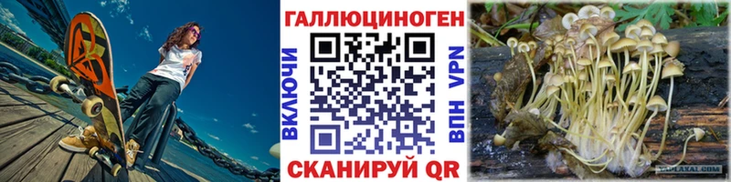 KRAKEN ТОР  наркота  Фокино  Галлюциногенные грибы ЛСД 
